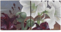 https://www.elisabeth-muehlen.de:443/files/gimgs/th-77_i-22Amaryllis3a_v2.jpg